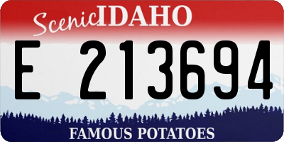 ID license plate E213694