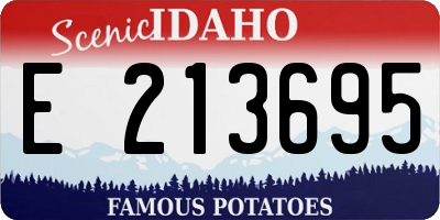 ID license plate E213695