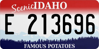 ID license plate E213696