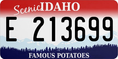 ID license plate E213699