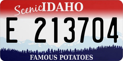 ID license plate E213704