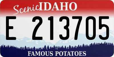 ID license plate E213705