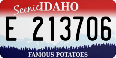 ID license plate E213706