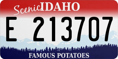 ID license plate E213707