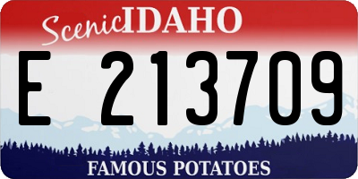 ID license plate E213709