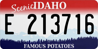 ID license plate E213716