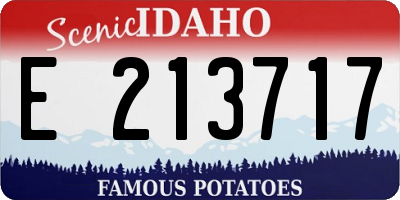 ID license plate E213717