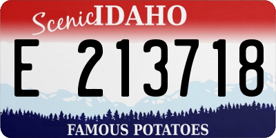 ID license plate E213718