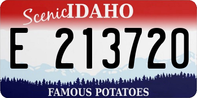 ID license plate E213720