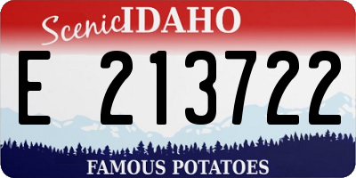 ID license plate E213722