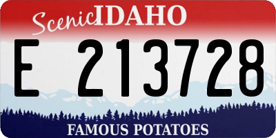 ID license plate E213728