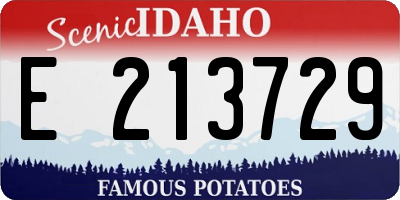 ID license plate E213729