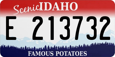 ID license plate E213732