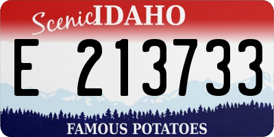 ID license plate E213733