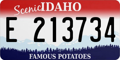 ID license plate E213734