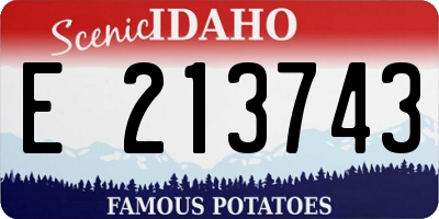 ID license plate E213743