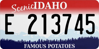 ID license plate E213745