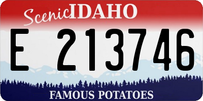 ID license plate E213746