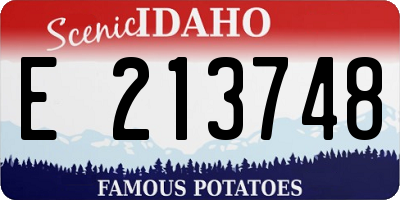 ID license plate E213748