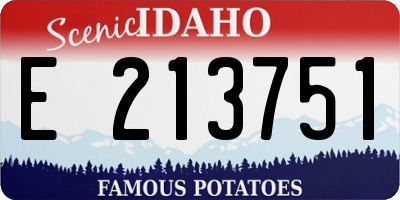 ID license plate E213751