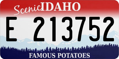 ID license plate E213752