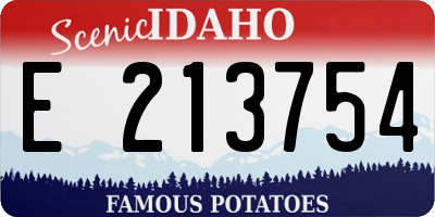 ID license plate E213754