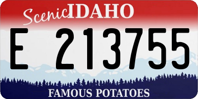 ID license plate E213755