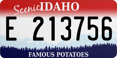 ID license plate E213756