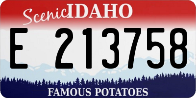 ID license plate E213758