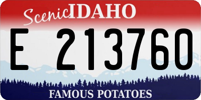 ID license plate E213760