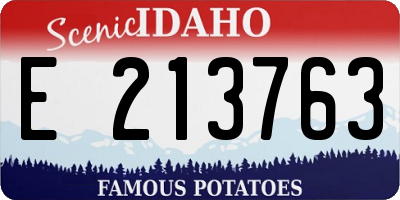 ID license plate E213763