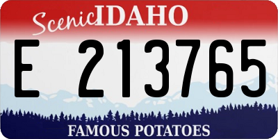 ID license plate E213765