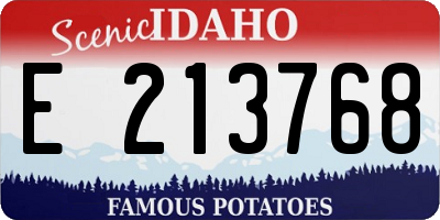 ID license plate E213768