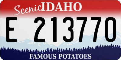 ID license plate E213770