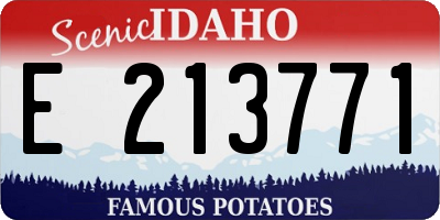 ID license plate E213771