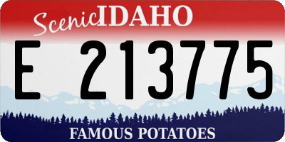 ID license plate E213775