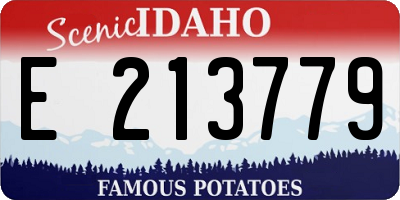 ID license plate E213779