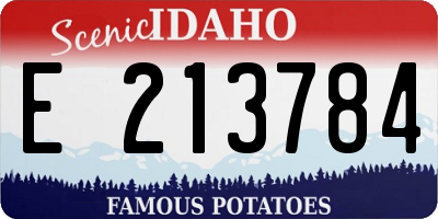 ID license plate E213784