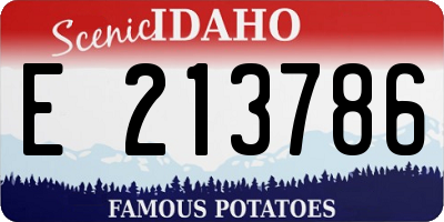ID license plate E213786