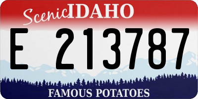 ID license plate E213787