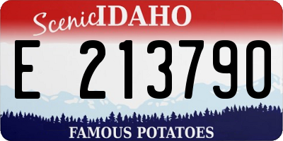 ID license plate E213790