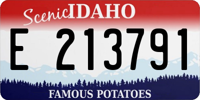 ID license plate E213791