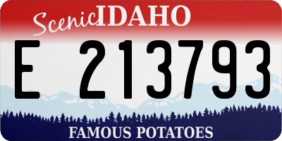 ID license plate E213793