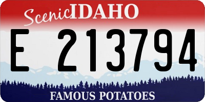ID license plate E213794
