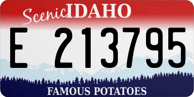 ID license plate E213795