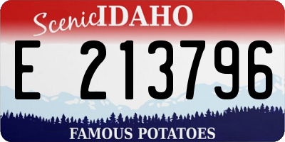 ID license plate E213796
