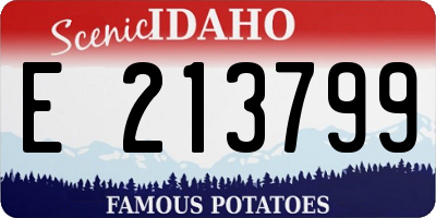ID license plate E213799