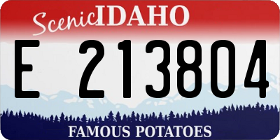 ID license plate E213804