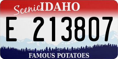 ID license plate E213807