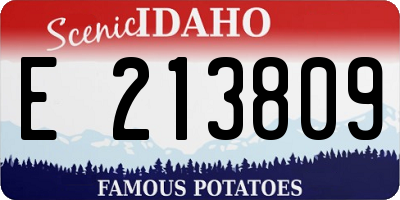 ID license plate E213809